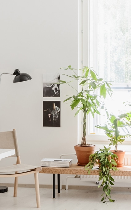 Valoisa, minimalistinen huone, jossa on puinen penkki, jolla on ruukkukasveja, kirjoja ja lehtivihreä köynnös. Auringonvalo tulvii sisään ikkunasta. Huoneessa näkyy myös tuoli, musta lamppu ja kaksi pientä seinätaideteosta.